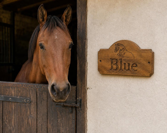 Personalised Horse Stable Name Plaque, Oak or Iroko Wood, Equine Sign